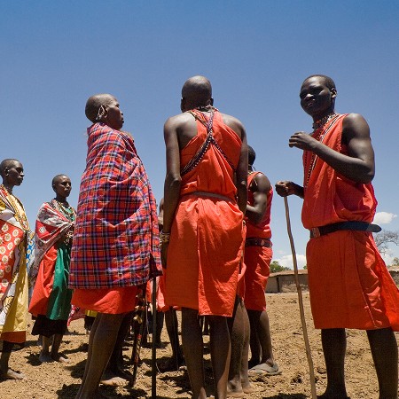 Maasai-mænd i røde shukas stående sammen på savannen